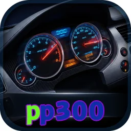 pp300